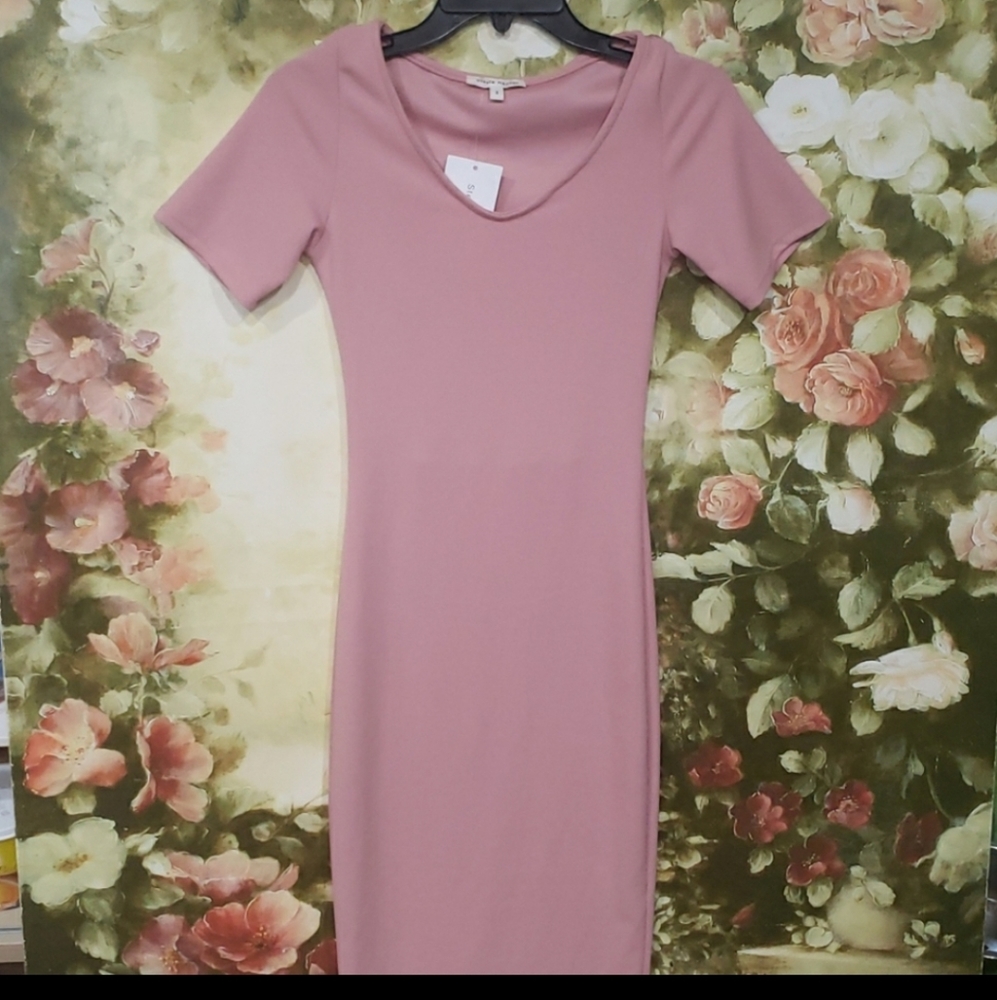2/$5 NWT Stevie Hender Sz S dress